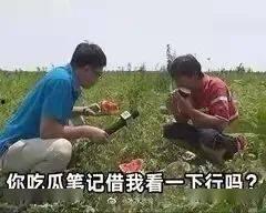 晋江娱乐圈吃瓜文,揭秘幕后真相，吃瓜群众狂欢时刻
